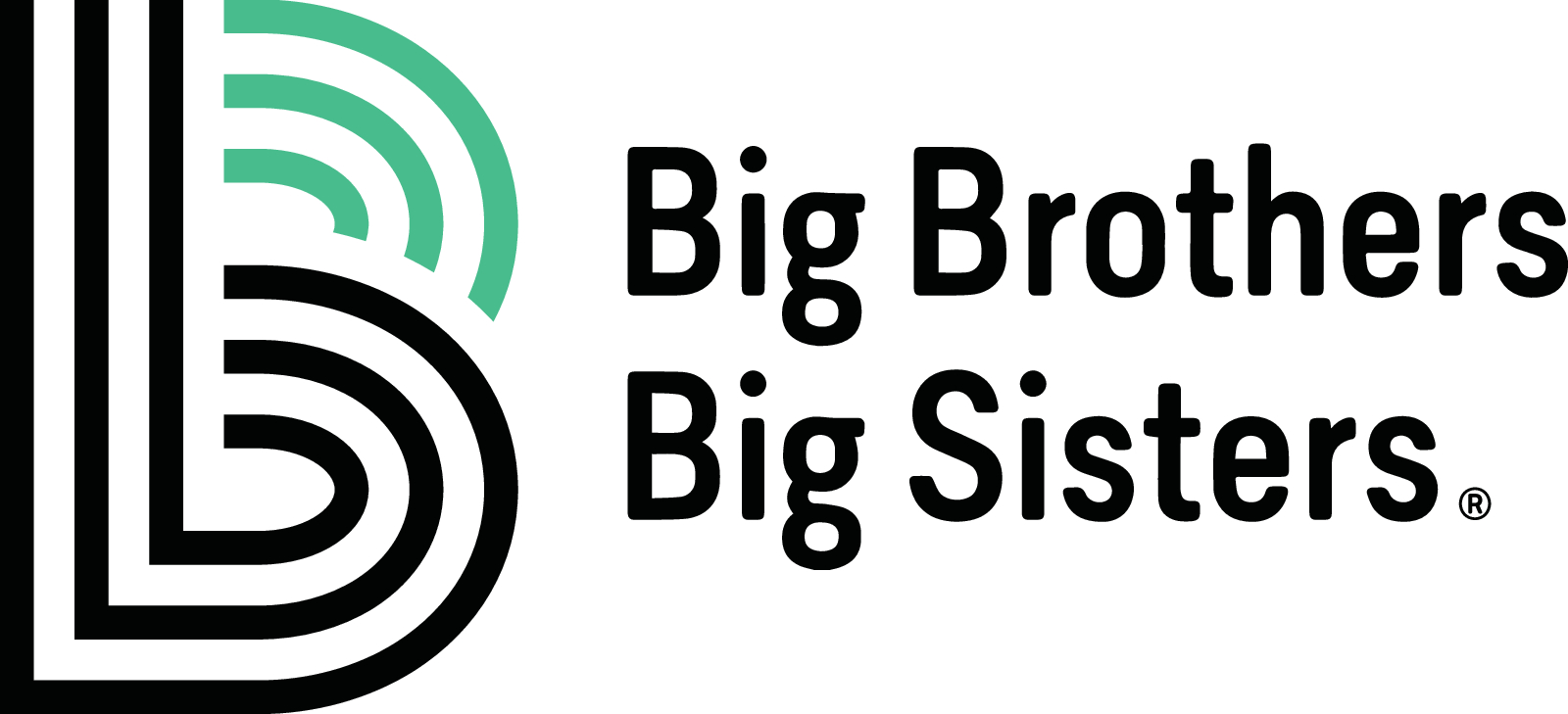PoGo Kit Fundraiser: Big Brothers Big Sisters of Southeastern Ohio (March 2026) - Image 5