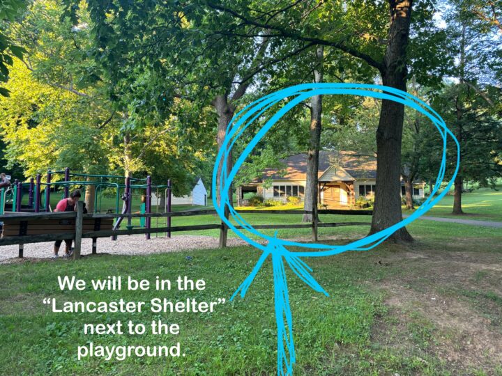 Storytime: In The Park (June 17) - Image 2