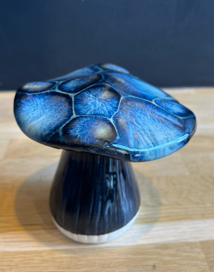 Frozen Pond - A Stoneware Glazing Technique Class (August 15) - Image 6